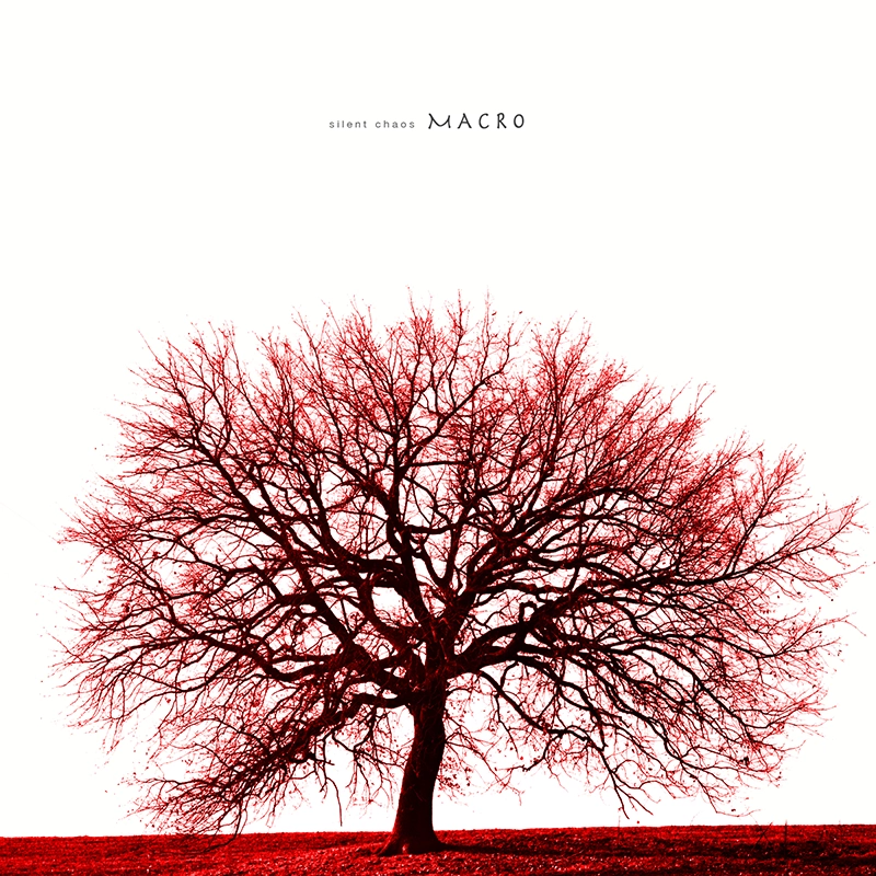 Macro album cover