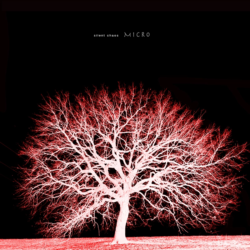 micro album cover